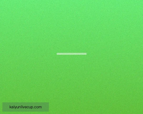 世界杯投注攻略揭秘如何高效分析赛况提升你的投注技巧